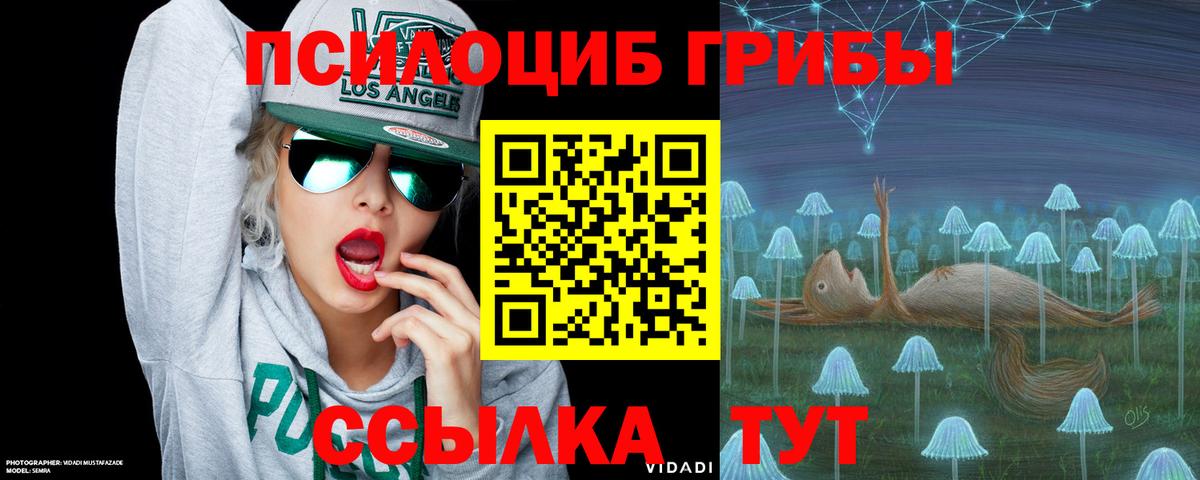 Карабулак  Псилоцибиновые грибы ЛСД  Вход с VPN 